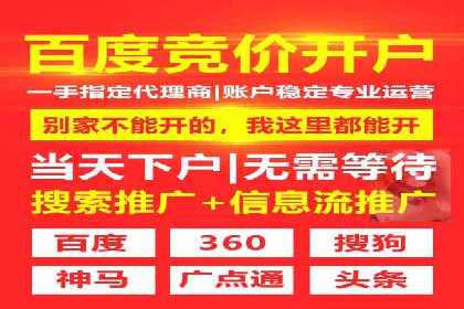 搜索引擎营销（SEM）在移动端的推广案例